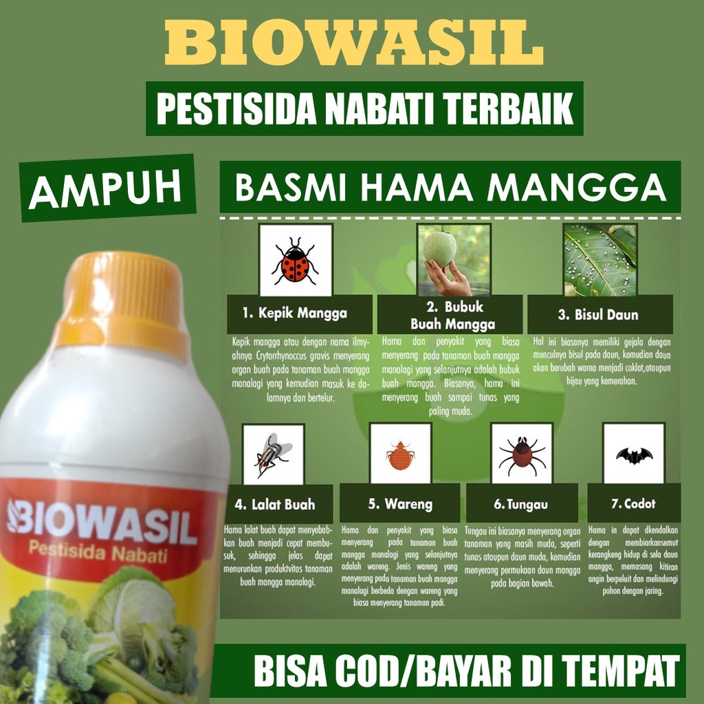 (BAYAR DI TEMPAT) BIOWASIL OBAT HAMA MANGGA PALING BAGUS - Pestisida Kubis Terbaik Atasi Hama Tanama