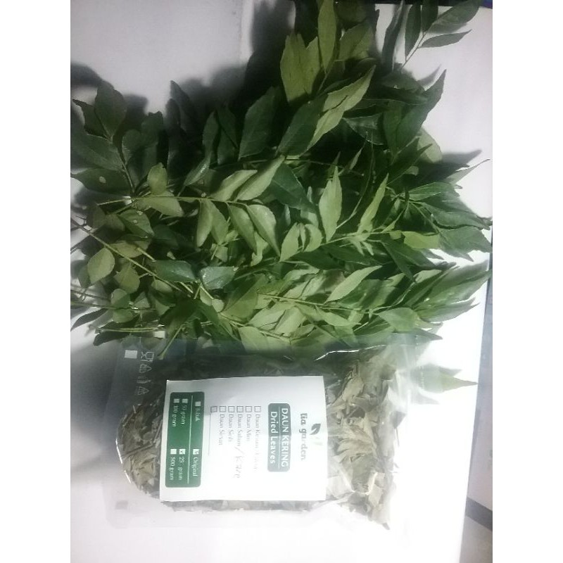 

DAUN SALAM KOJA/ DAUN KARE/ DAUN TEMURU/ DAUN KORO KELING KERING KEMASAN 50 GRAM