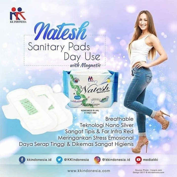 

PAKET 3 Box Pembalut NATESH Day Use
