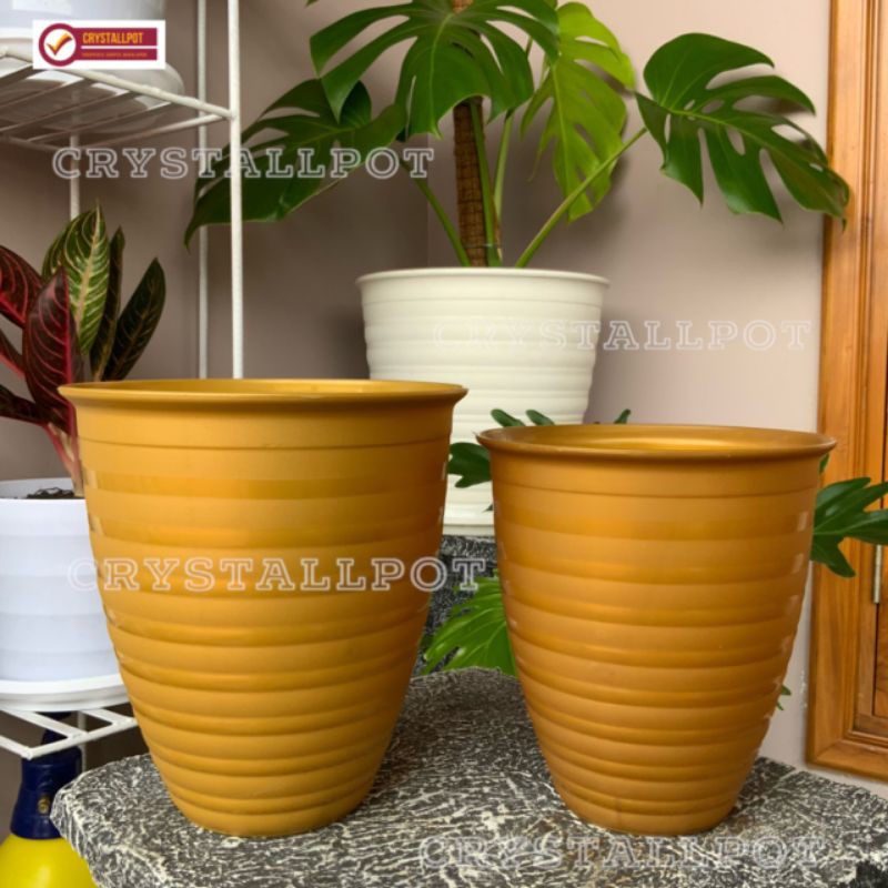 Pot bunga tanaman tawon gold tinggi 16 cm - taiwan BEE 165T GOLD