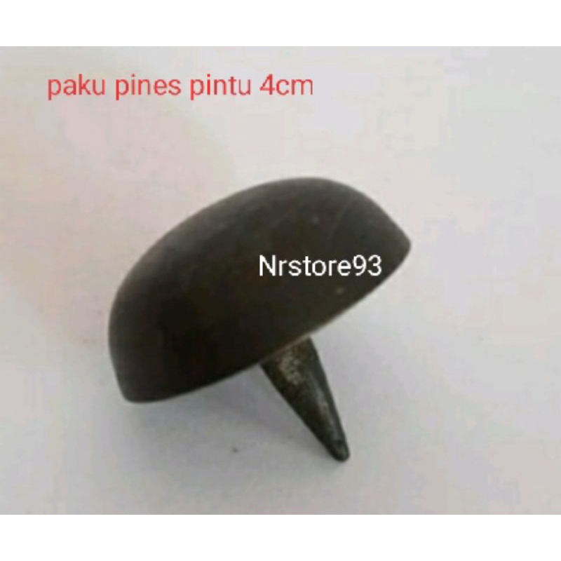 Paku Pines Pintu Kuningan 4cm