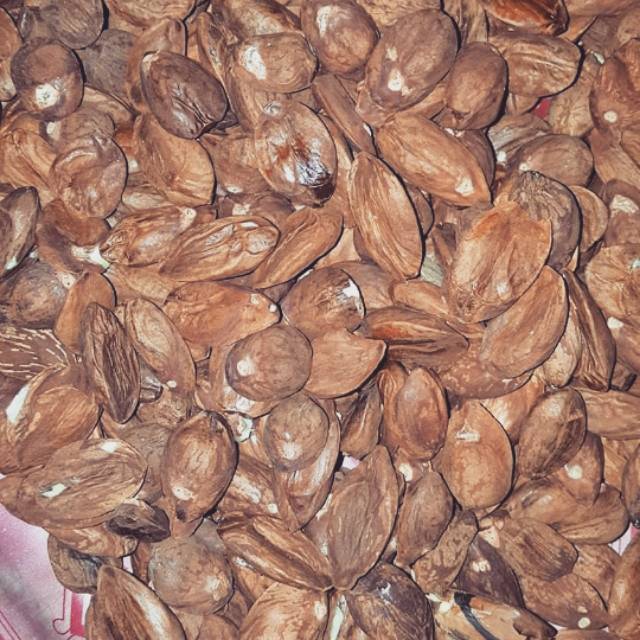 

Kacang kanari 100 gram