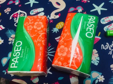 Tissue Paseo Smart 250 Sheets Tissue Facial