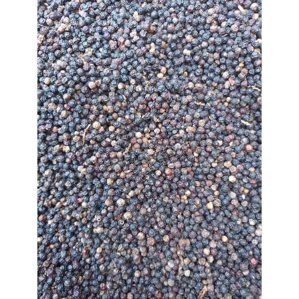 

Lada Hitam Asli Lampung (250gr)