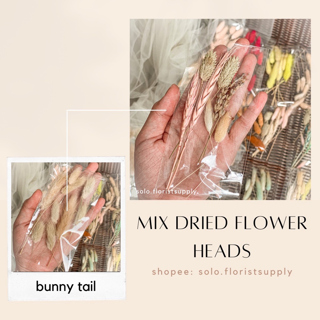 1 PACK MIX DRIED FLOWER HEADS LAGURUS BUNNY TAIL WHEAT LAVENDER PHALARIS GANDUM ALANG ALANG BUNGA KERING CAMPUR