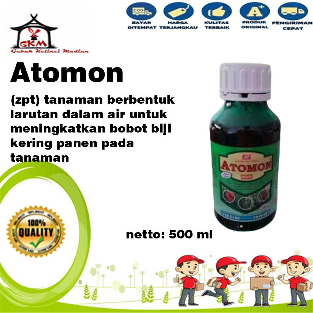 Atomon 500 ml ZPT Dekamon