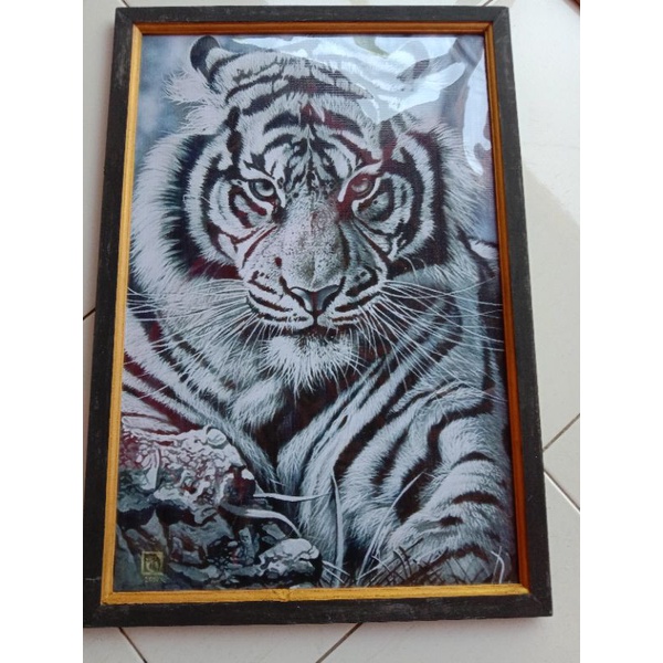 lukisan cetak macan putih plus bingkai uk 65x45