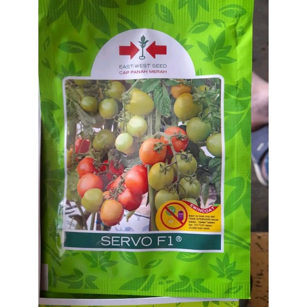 Benih bibit Tomat Servo F1 1750 biji