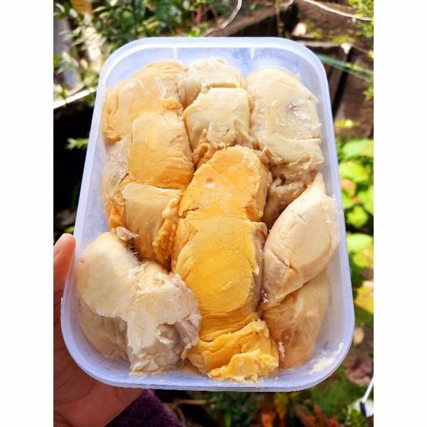 

Buah | Durian Kupas Medan Premium/Duren Medan Manis/Durian Medan Premium/Duri