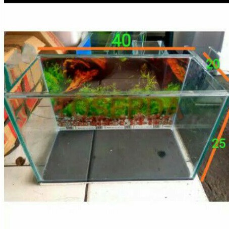 Aquascape Ukuran 40 X 20 - Aquascape Ideas Setting ...