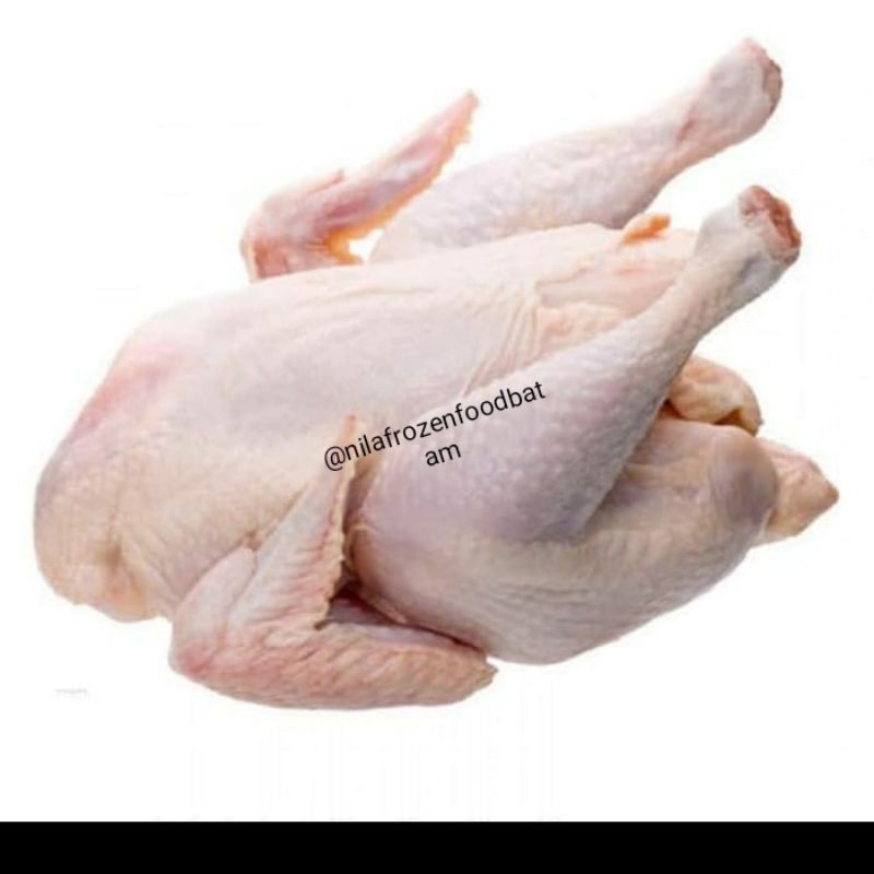 

Ayam Bulat / Utuh berat 1200gram