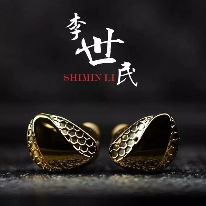 TANGZU Shimin Li 10mm Single DD N52 Magnet In Ear Monitor Earphone IEM