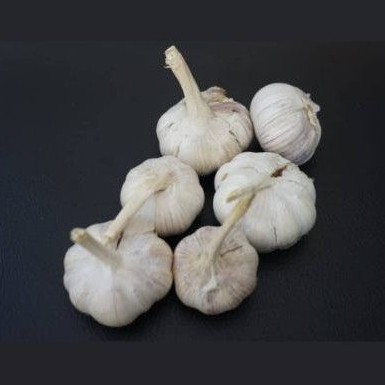 

Garlic-Bawang Putih