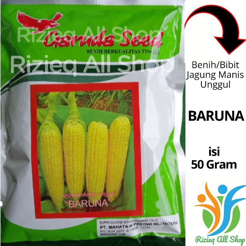 Jual Benih Jagung Manis Unggul BARUNA Isi 50Gram Bibit Jagung Manis ...