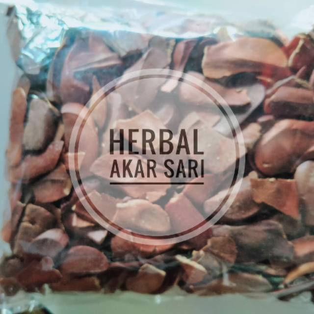 

BIJI MAHONI 100 Gram - Sebagai Antioksidan