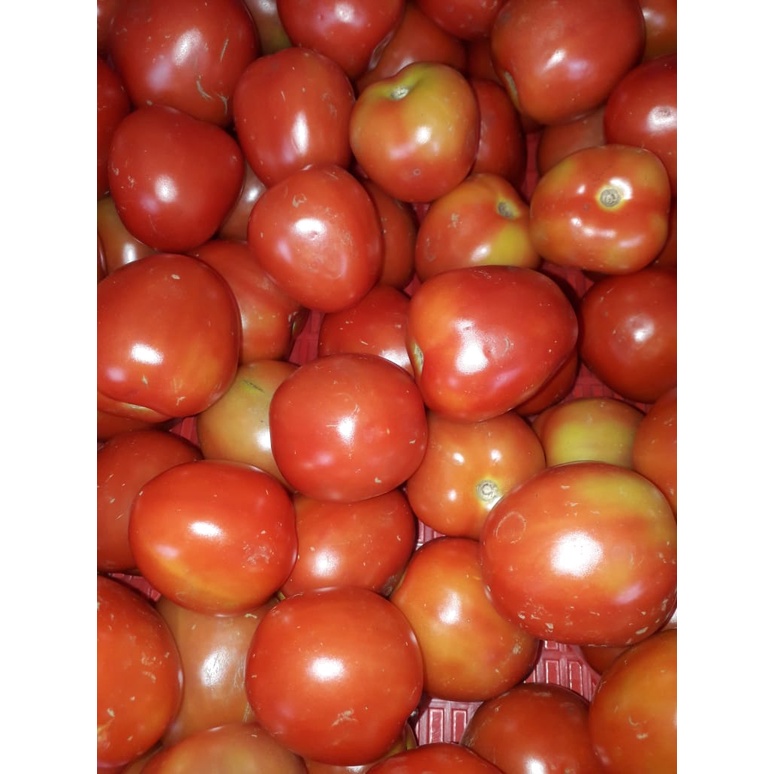 

Tomat 500gr