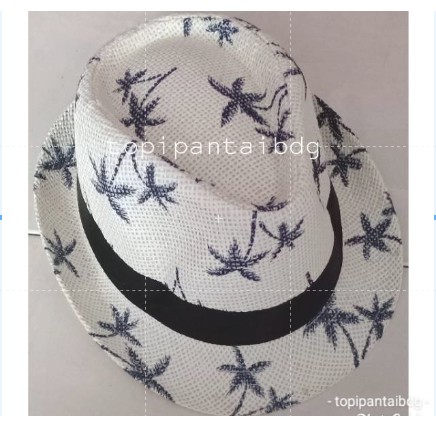 topi pantai Fedora rotan summerhat