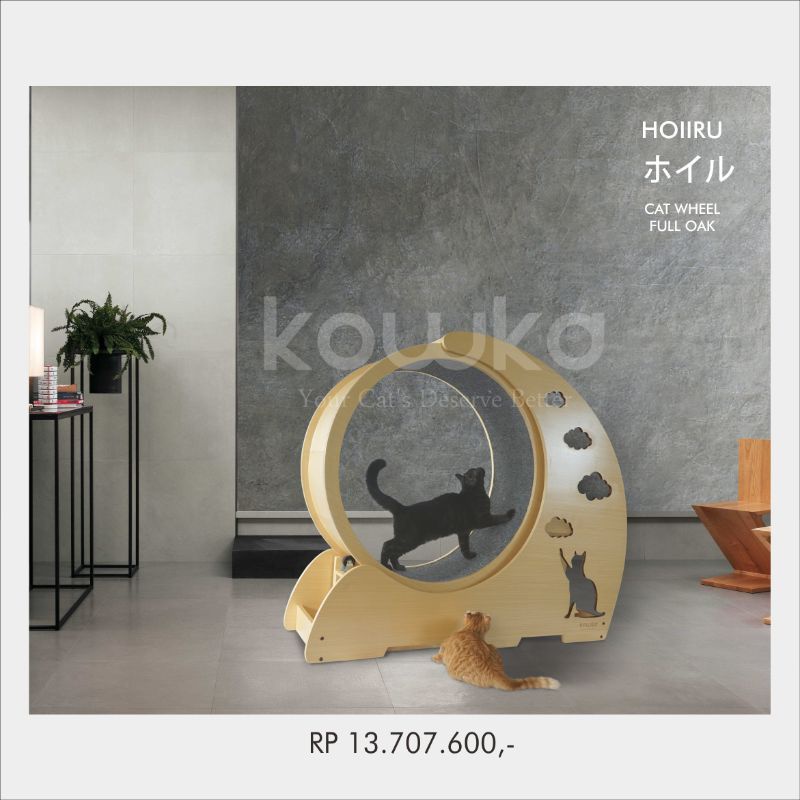 Hoiiru  | Cat Wheel  | by Kowka Indonesia