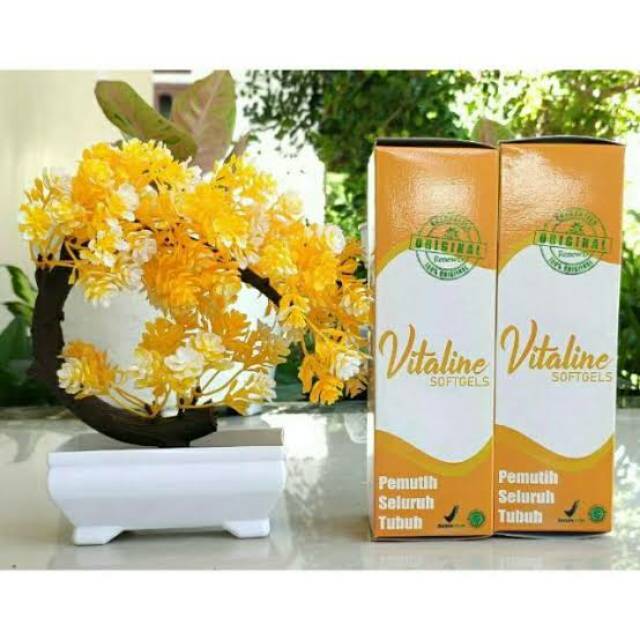 ViTAGEL ORIGINAL PEMUTIH KULIT