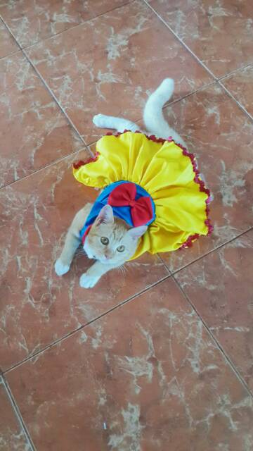 Baju kucing Snow White untuk kucing &amp; anjing /Jual Baju Kucing Terlengkap &amp; Berkualitas size S-XL