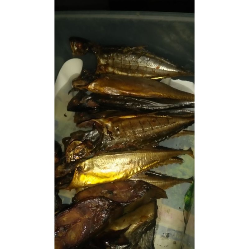 

ikan asap cakalang utuh/perekor,kering 80%,garansi,cod