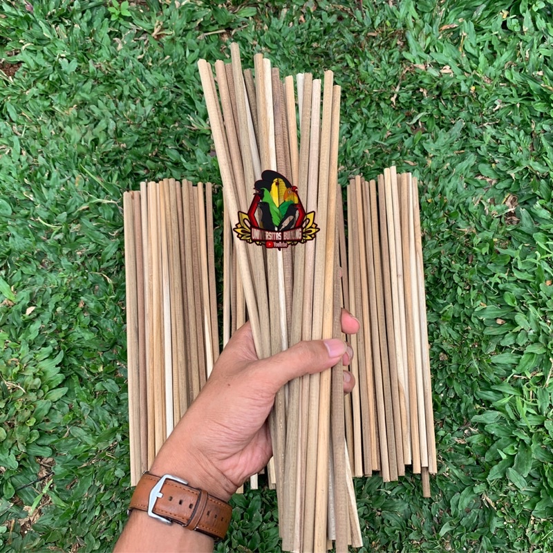 tangkringan khusus konin kolibri ninja - sogon - pleci