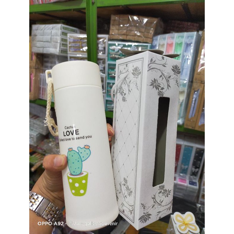 Festival.Store Souvenir Botol Minum Kaktus + Box, Tumbler Kaktus Botol Kaca Kaktus Aesthetic Botol