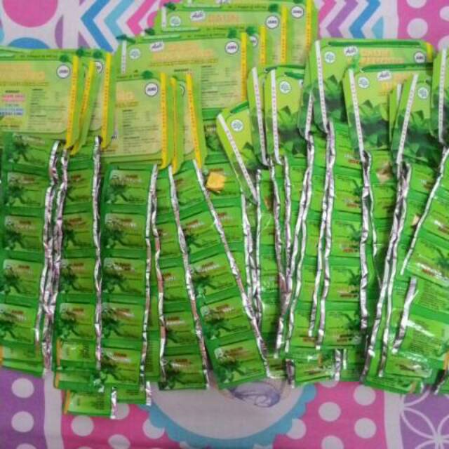 Kapsul Daun Binahong ORIGINAL sachet