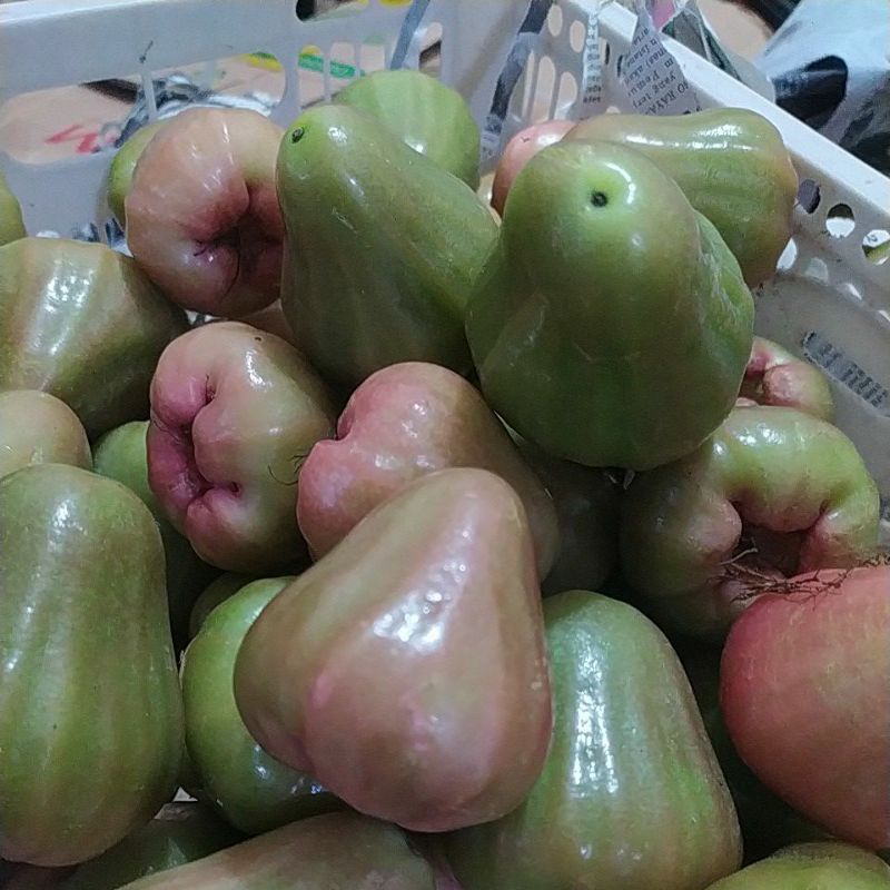 

Buah jambu cingcalo