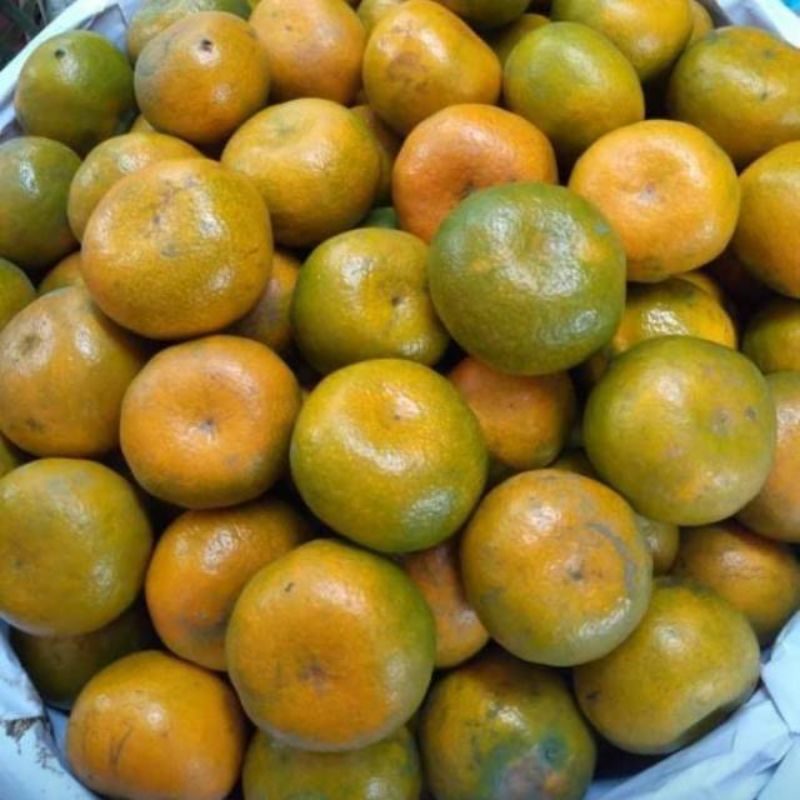 

jeruk manis 1/2 kg