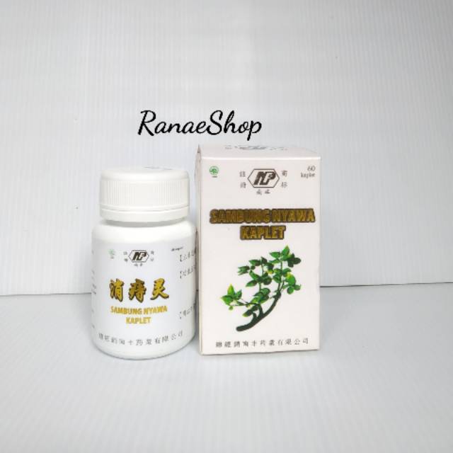 Sambung Nyawa Kaplet