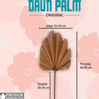  DAUN  PALM KERING BUAT DEKORASI  RUSTIC  ASESORIS STUDIO 