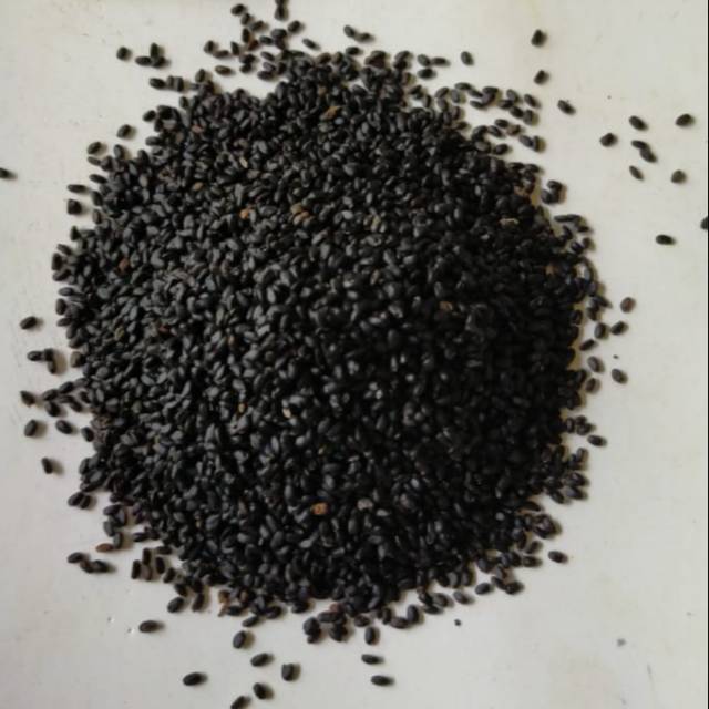 

Termurah!! 500 gram Biji Selasih / basil seed kualitas bagus impor