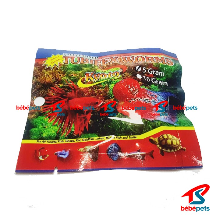 CACING KERING KYOTO - TUBIFEX WORM