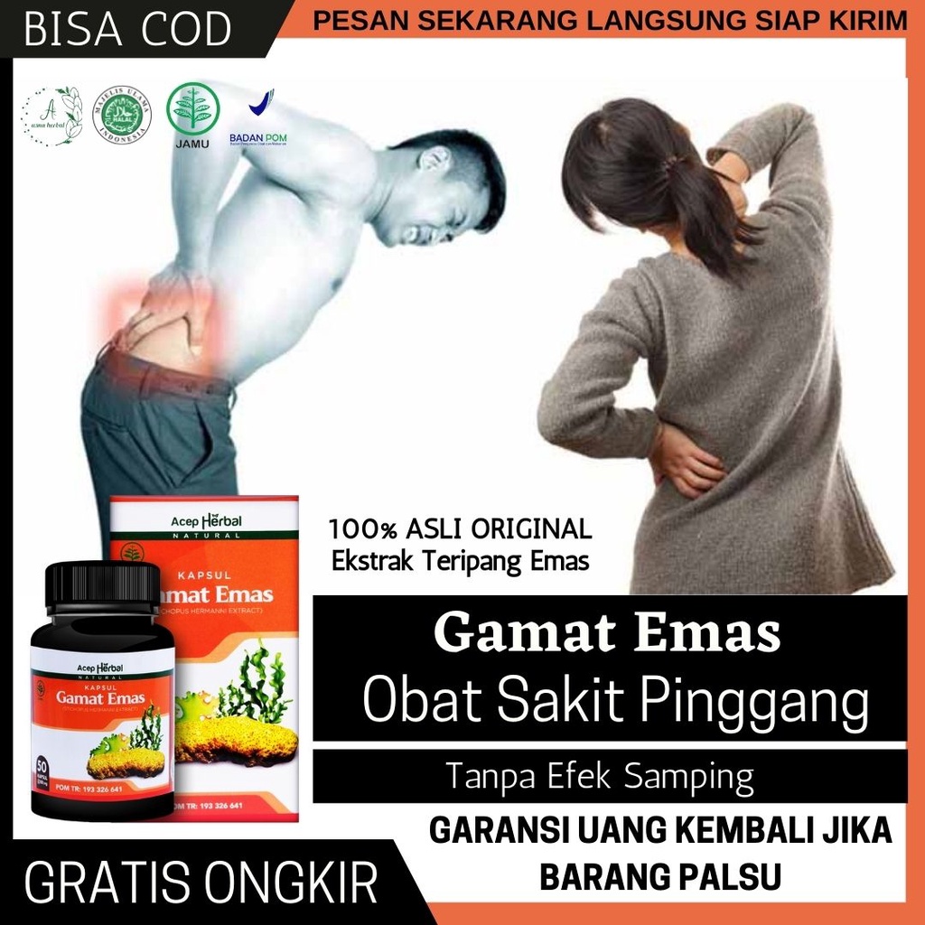 Obat sakit pinggang encok sakit pinggang sebelah kakan/kiri pingang sarap kejepit KAPSUL GAMAT EMAS