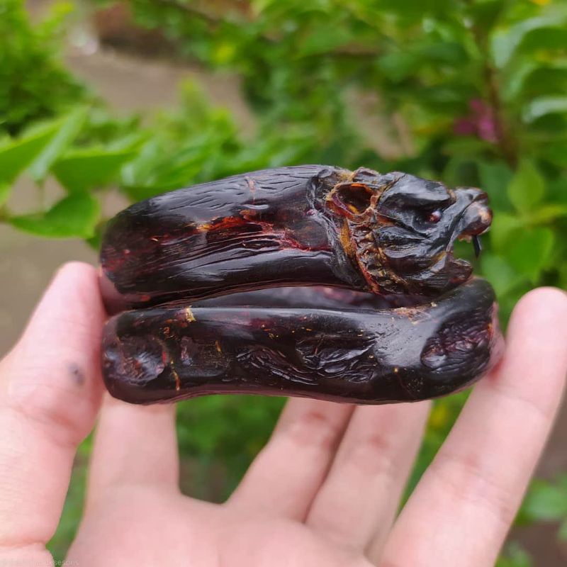 gelang akar bahar merah singo jumbo