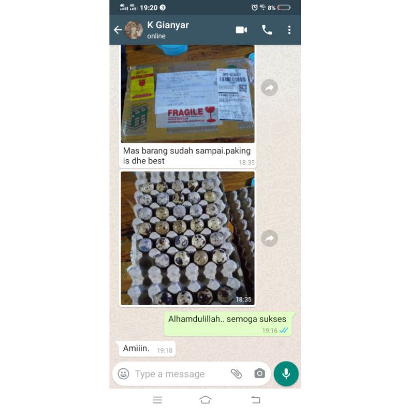 FGFG56846 Telur-Tetas-Puyuh-GPS/PS-Hitam 564568