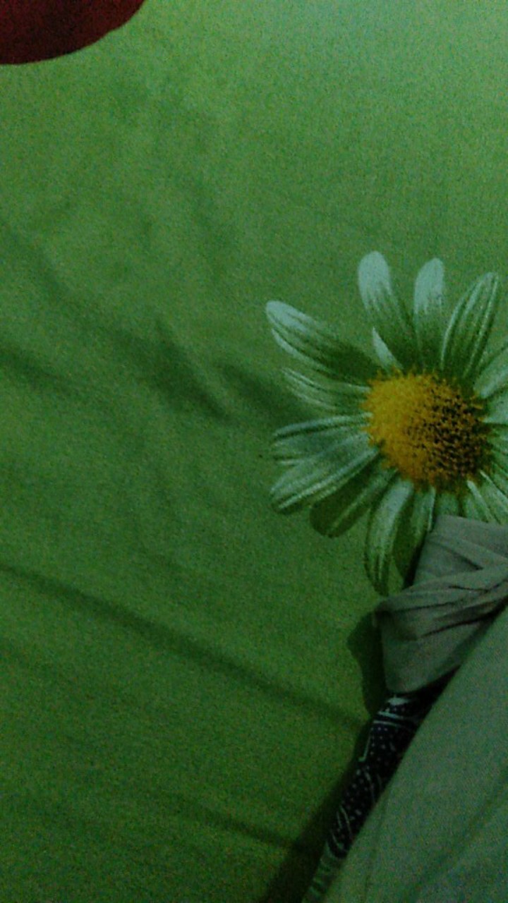 Roda Sliding Door Merk Dekson / Roda Pintu Sliding / Roda Pintu Geser