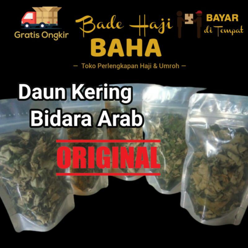 

Teh Daun Bidara Arab Kering I Bidara Arab I Daun Bidara I Bidara Arab Asli Ruqyah I Bidara Kering