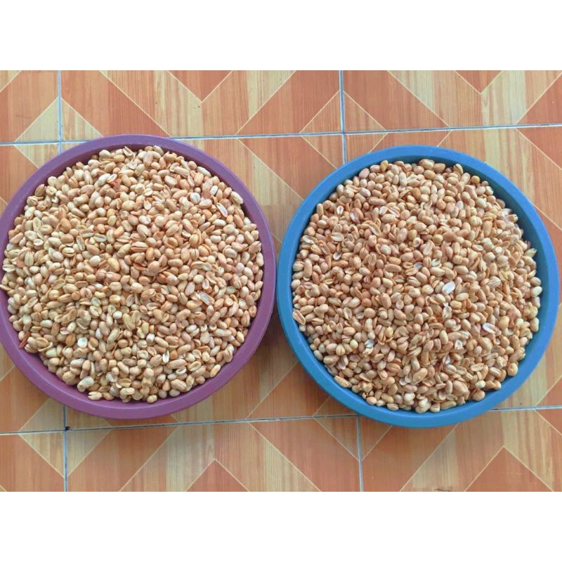 

KACANG BAWANG