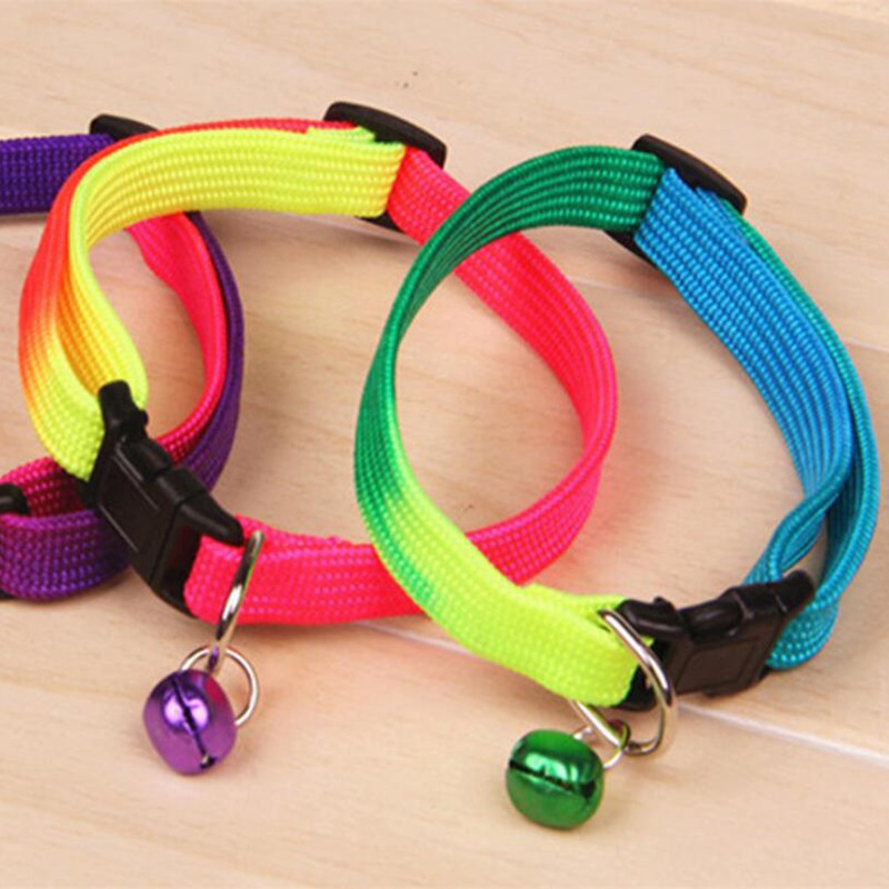 Kalung Kucing /Anjing Rainbow