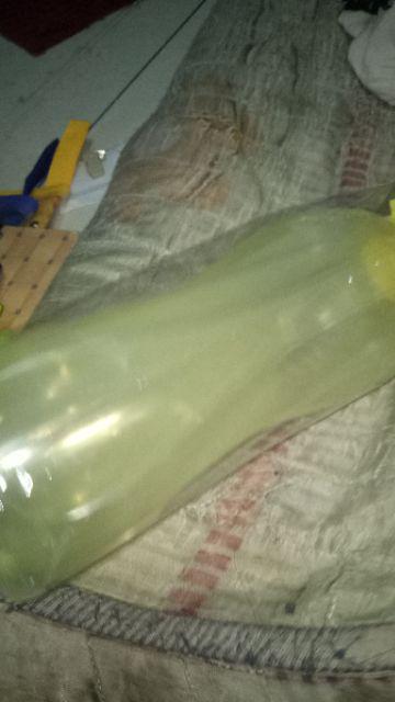 Promo Botol Minuman Untuk Anak Souvenir Ulang Tahun Clio Evo 1l