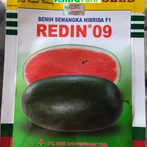 Benih semangka inul merah F1 Redin 20gram