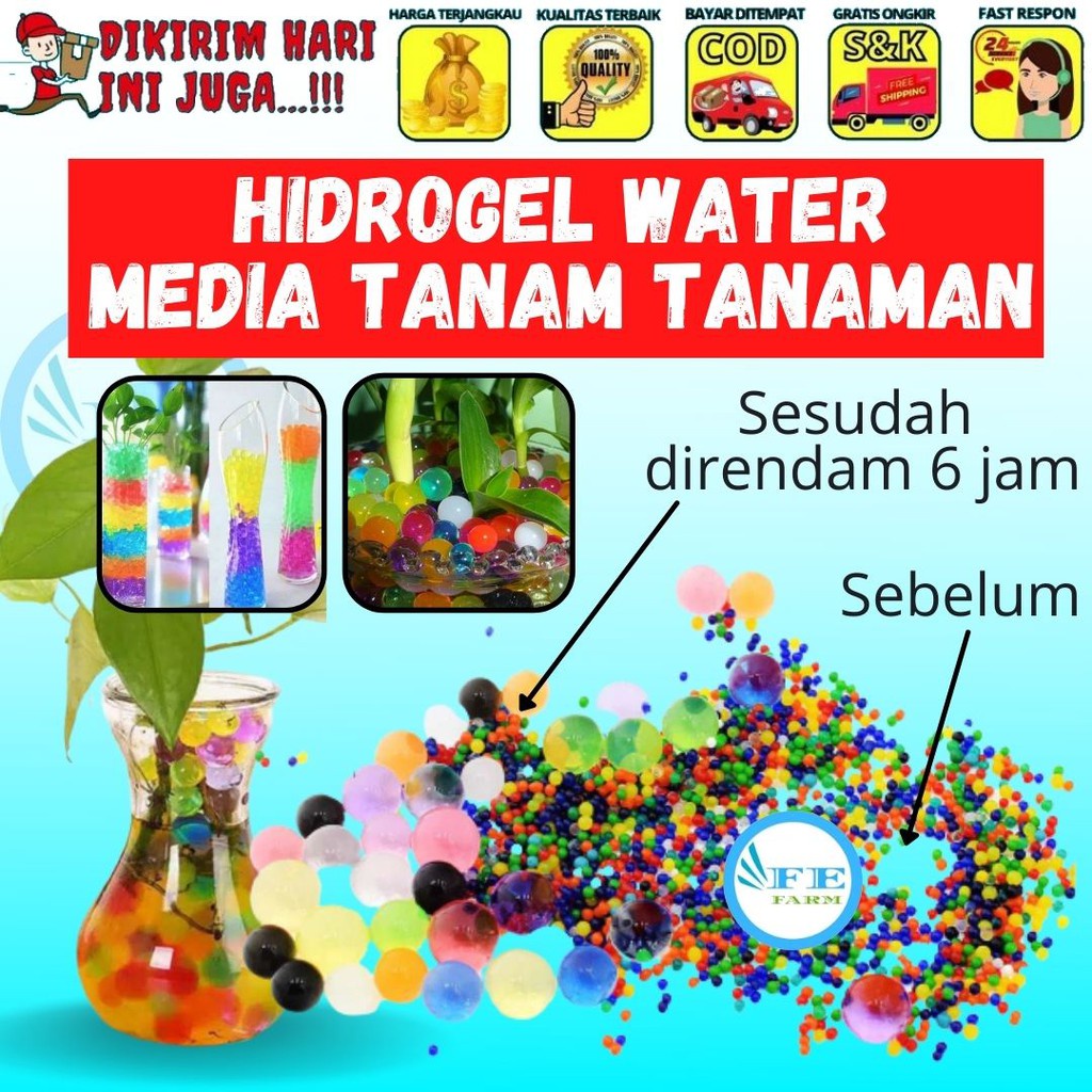 Waterbeads 10gr | Hydrogel | Media Tanam FEFARM