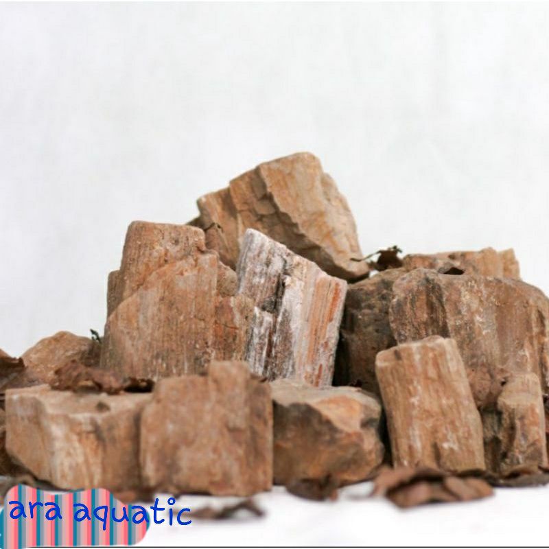 batu fosil aquascape/batu fosil kayu aquascape