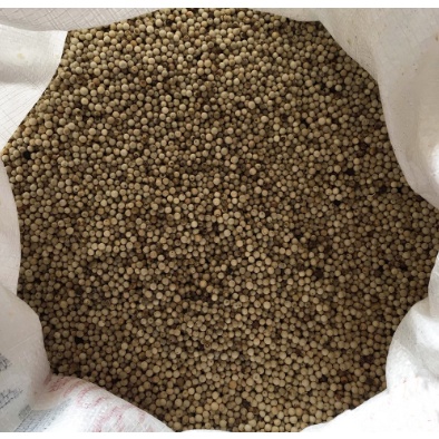 

Lada Putih Butir / lada putih bangka