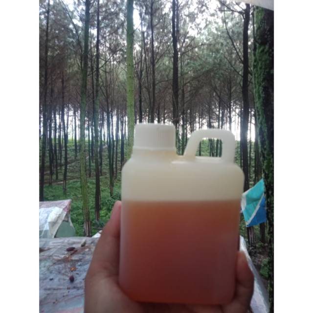 

Madu asli 500 ml