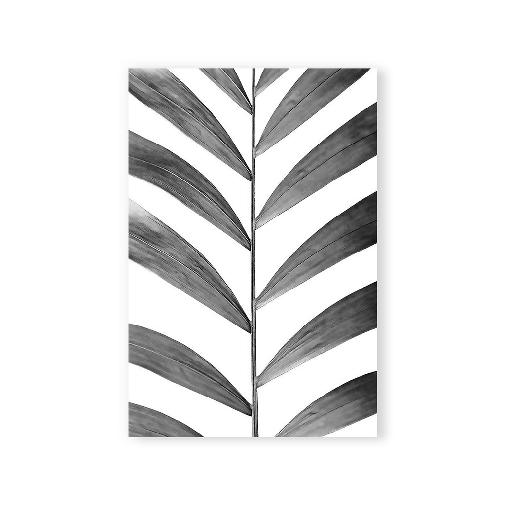 Hiasan Dinding Hiasan Kamar Wall Decor Leaf Monochrome - WD69