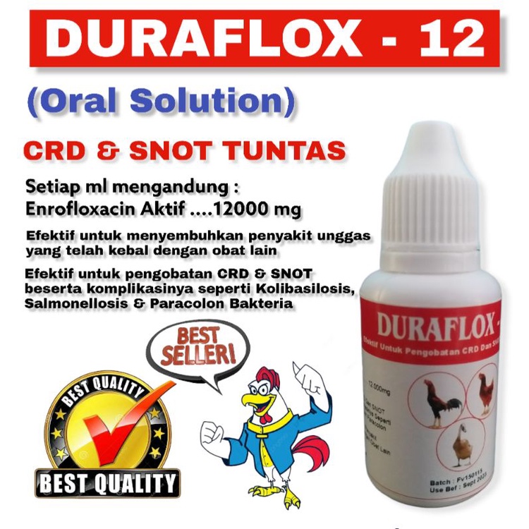 Duraflox obat CRD snot tetes pada ayam