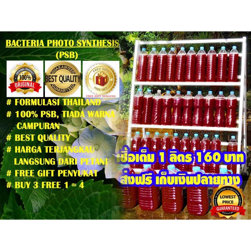 PSB PHOTOCYNTHETIC BACTERIA